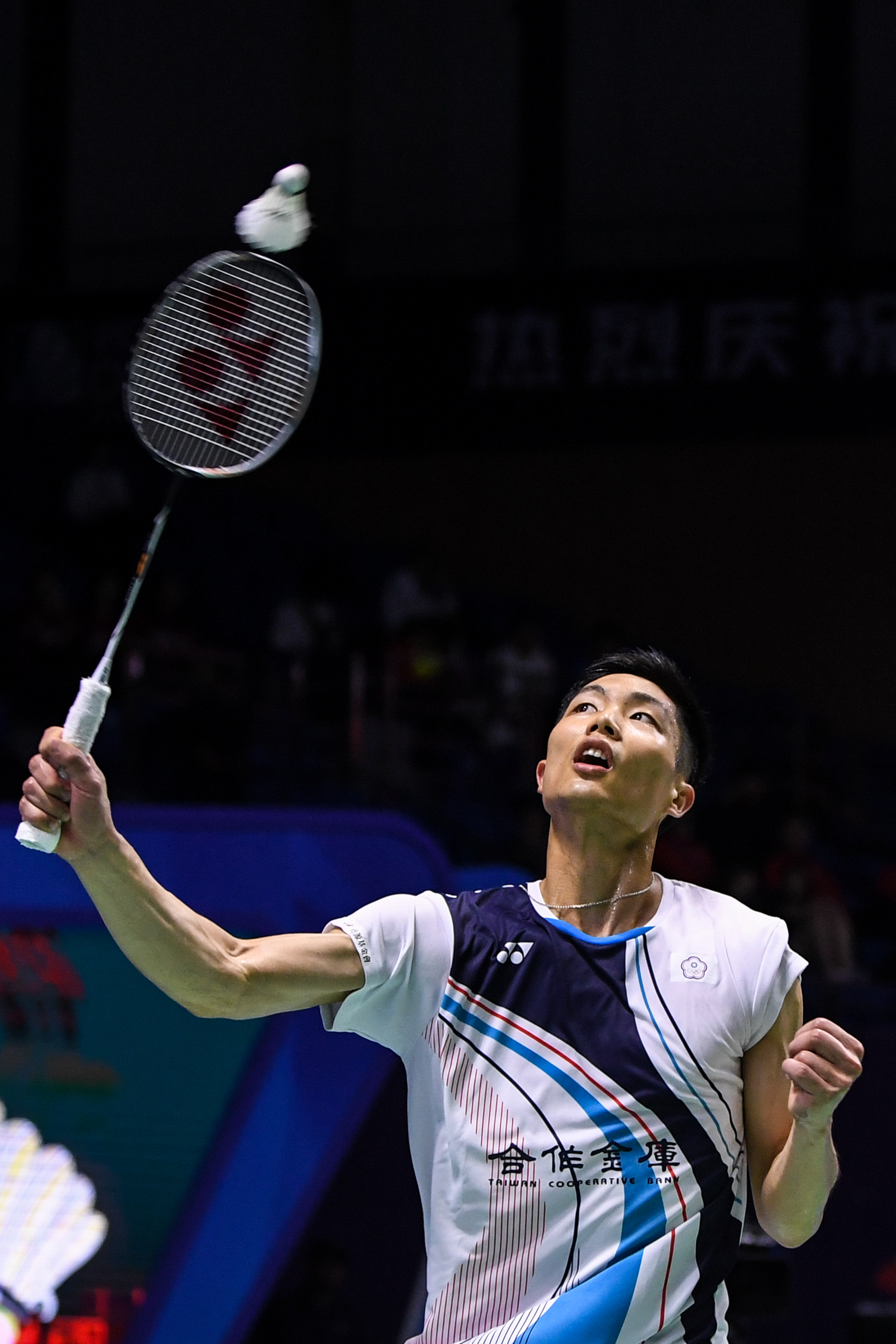 也是自我提 也是自我提