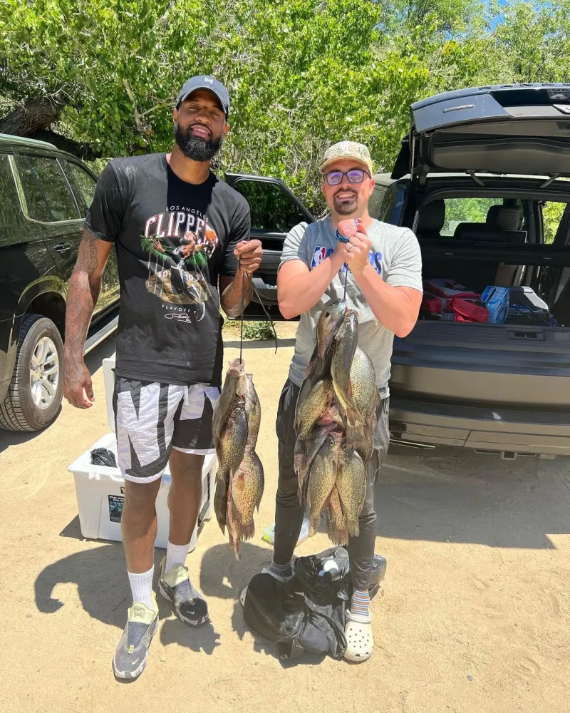 队提供多样 队提供多样