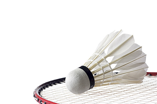 管理与心理 管理与心理