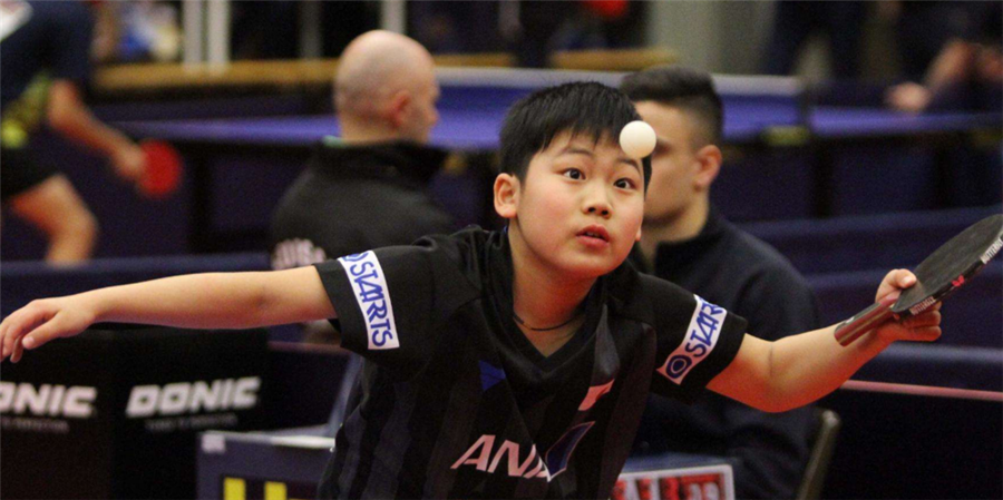 新的红利 新的红利